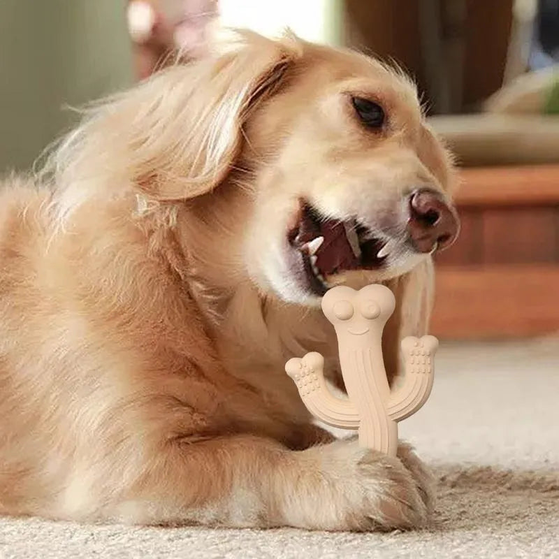 Beige, blue or purple cactus-shaped dog chew toy made from bamboo fibre and rubber on a white background.