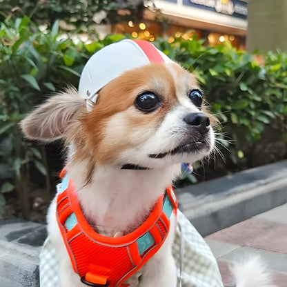 White and orange pet motorcycle safety helmet for small dog on a solid background.