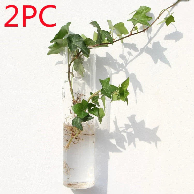 Wall-mounted glass flower vase and terrarium with various design options for customization and decoration