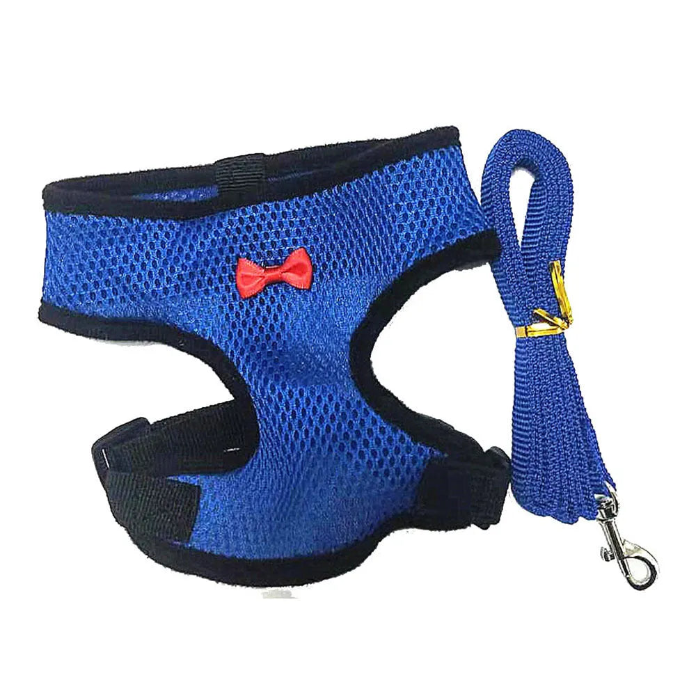 Poultry vest harness with matching collar and bow decoration for chickens and ducks