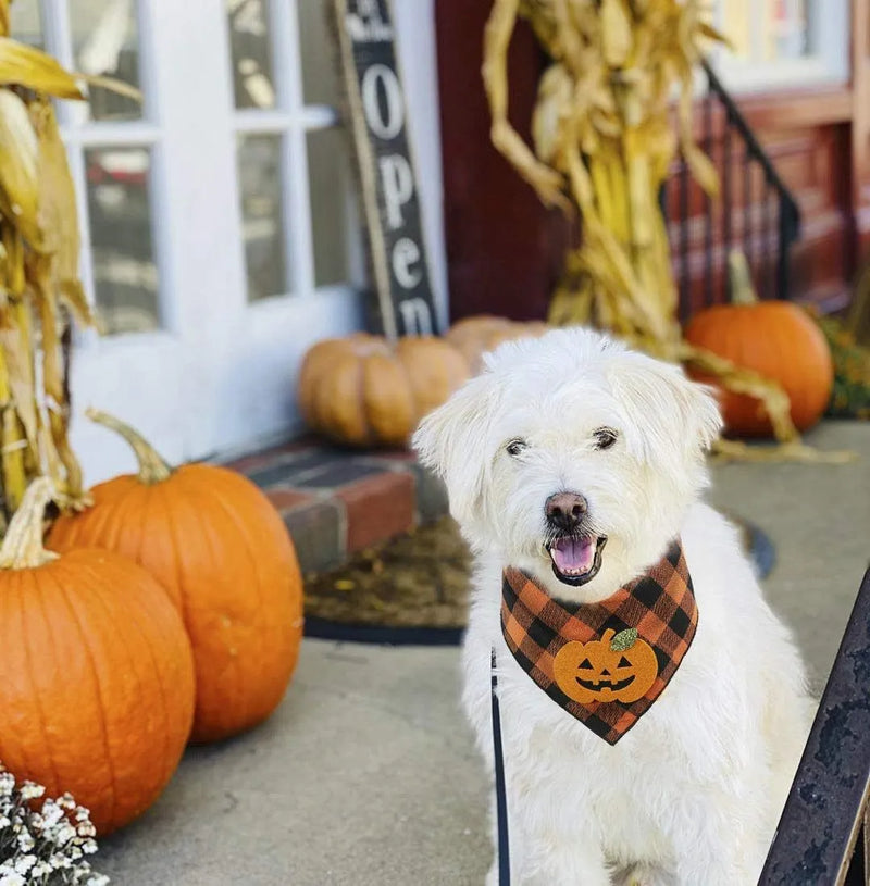 Halloween dog bandana with pumpkin appliques in felt patches for small, medium and large dogs with necks up to 22 inches, orange plaid holiday costume accessory