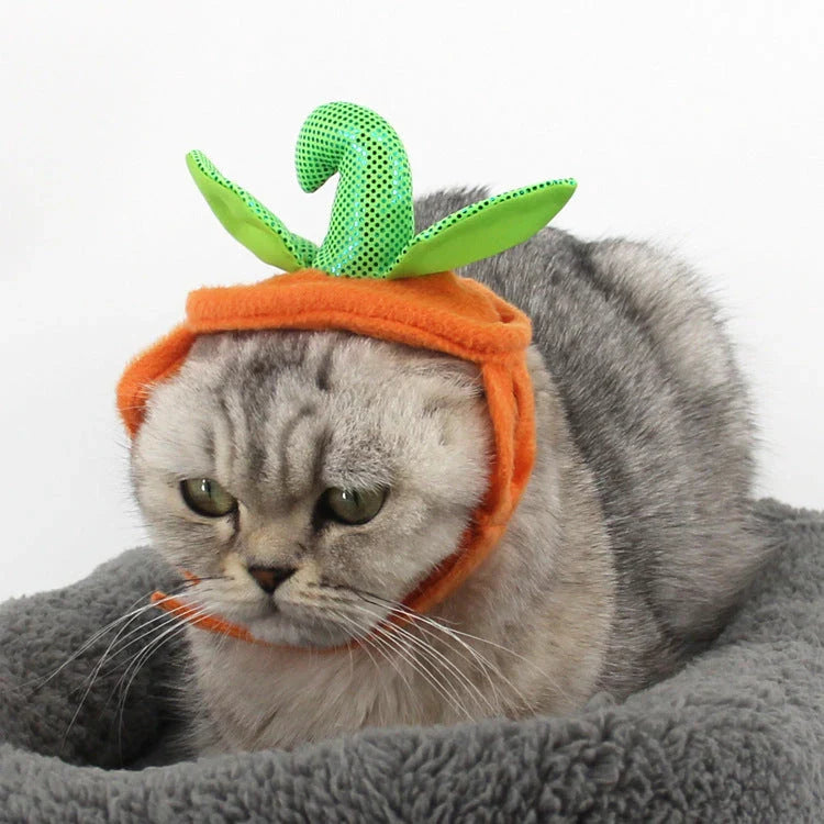 Pumpkin-themed Halloween costume for cats, featuring a plush hat and dress with vibrant patterns and leaf accents