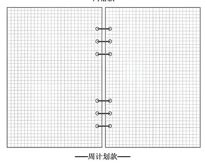 A5 notebook replacement core, 210 x 142 mm refill insert for compatible binders, in diandian or zhoujihua style.