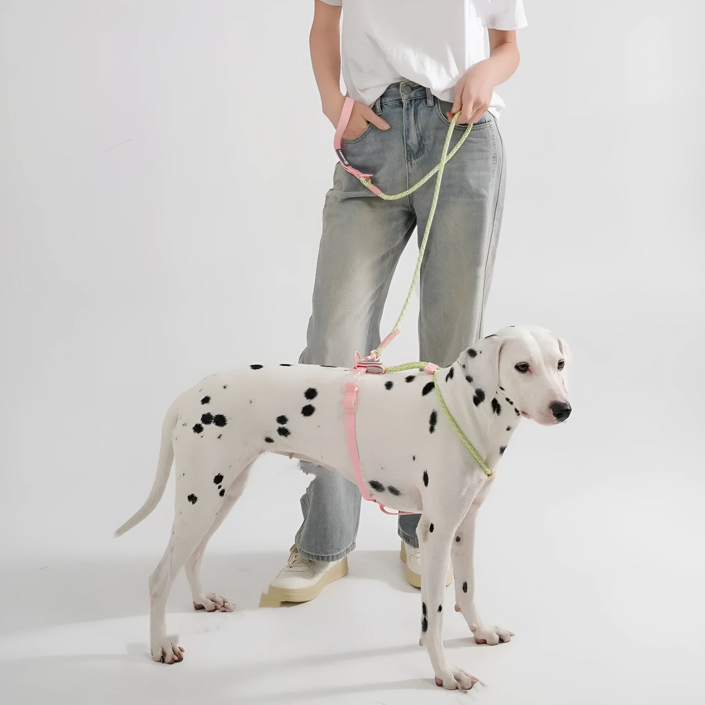 Solid colour PVC dog hand holding rope leash in dark red purple yellow showing collar attachment.