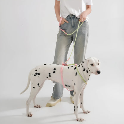 Solid colour PVC dog hand holding rope leash in dark red purple yellow showing collar attachment.