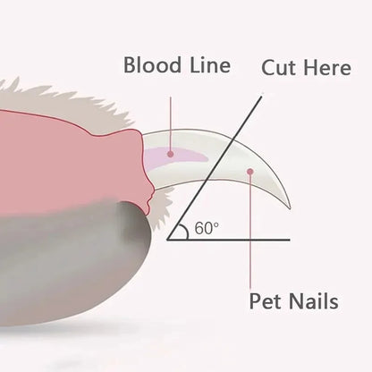 Blue pet nail clippers with LED light on for trimming cat or dog claws