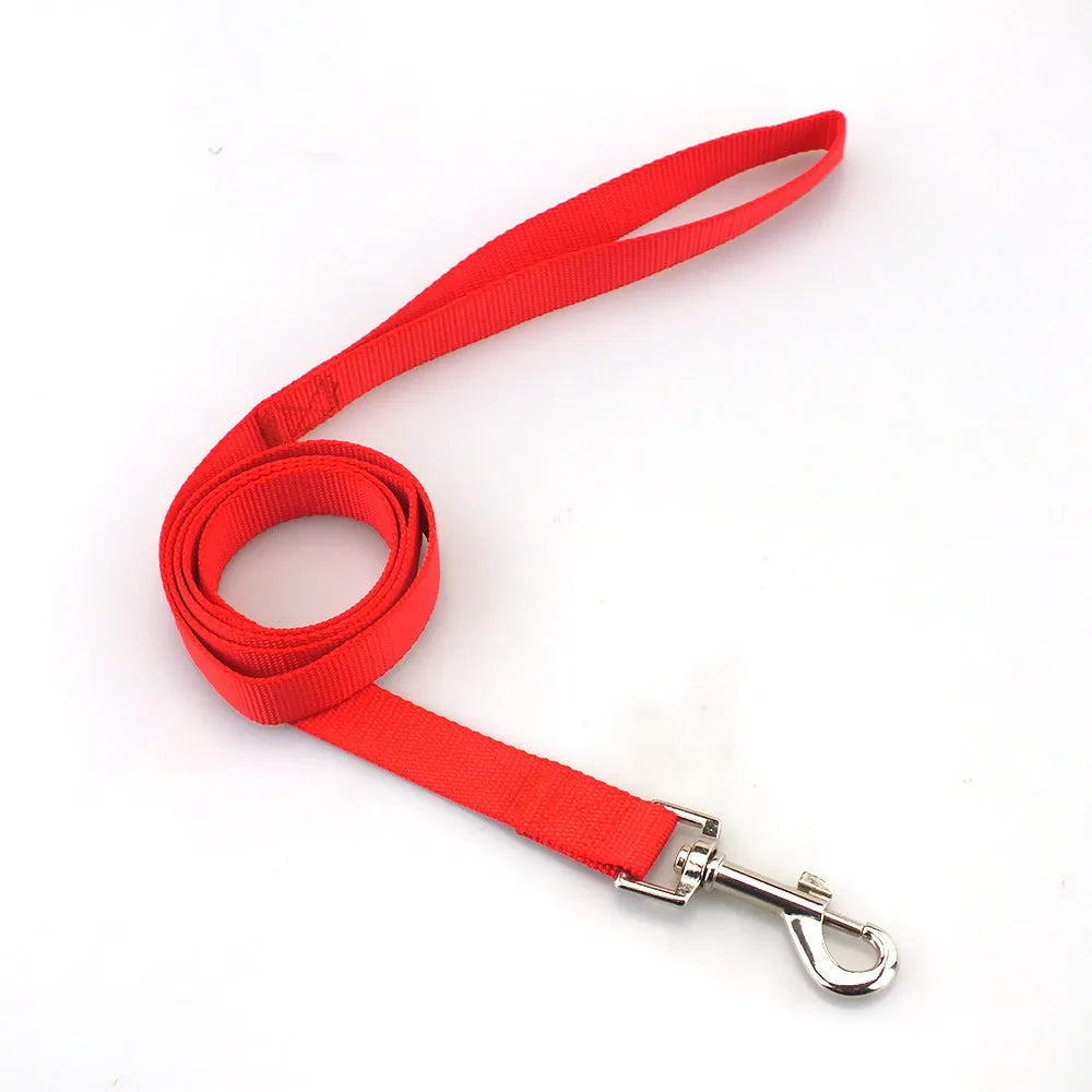 Solid colour polyester dog leash rope in hand, showing various width and colour options.
