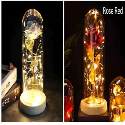 Little Prince Rose Glass Cover with 20cm diameter dome protecting plastic flower arrangement