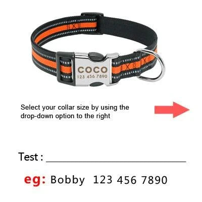 A premium dog collar made of nylon with reflective stripes for enhanced visibility and safety