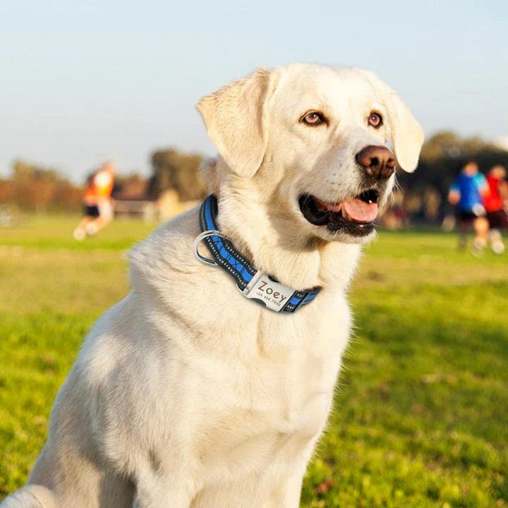 A premium dog collar made of nylon with reflective stripes for enhanced visibility and safety