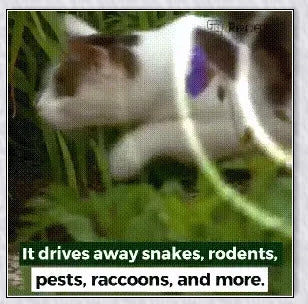 The Advanced Solar Electronic Snake Repeller - A solar-powered device that uses ultrasonic waves to safely repel snakes, moles, and other burrowing pests from your garden