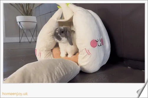 A soft, white cat bed made of suede fabric and filled with plush PP cotton for your feline friend's comfort.