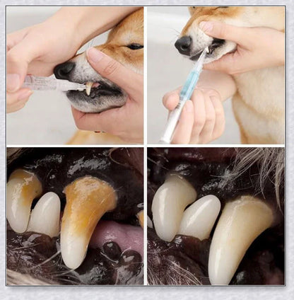 A pet dental care product designed to repair and prevent dental disease in pets, featuring a plant-based formula and a soft-bristle brush.