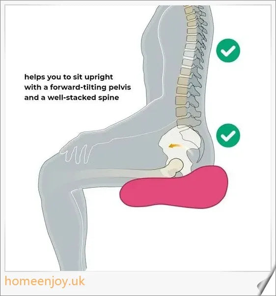 Premium Ergonomic Hip Posture Correction Cushion with U-shaped design for back and hip pain relief