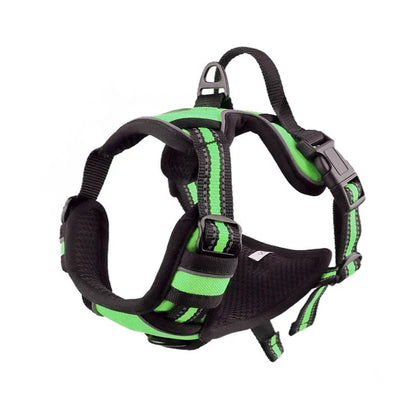 Adjustable Oxford cloth dog chest harness shown in multiple colours including red, blue, and green.