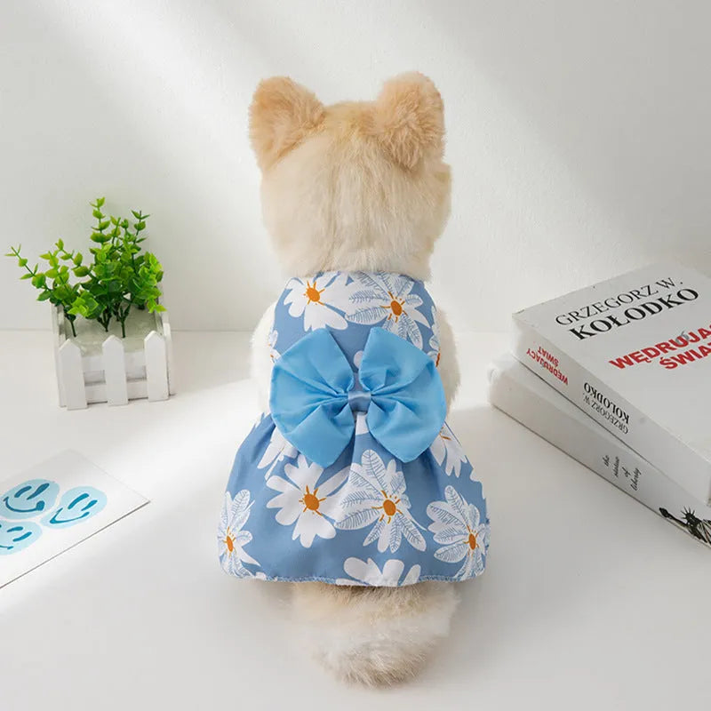 An orange floral butterfly knot princess dress for a small dog on a summer day.