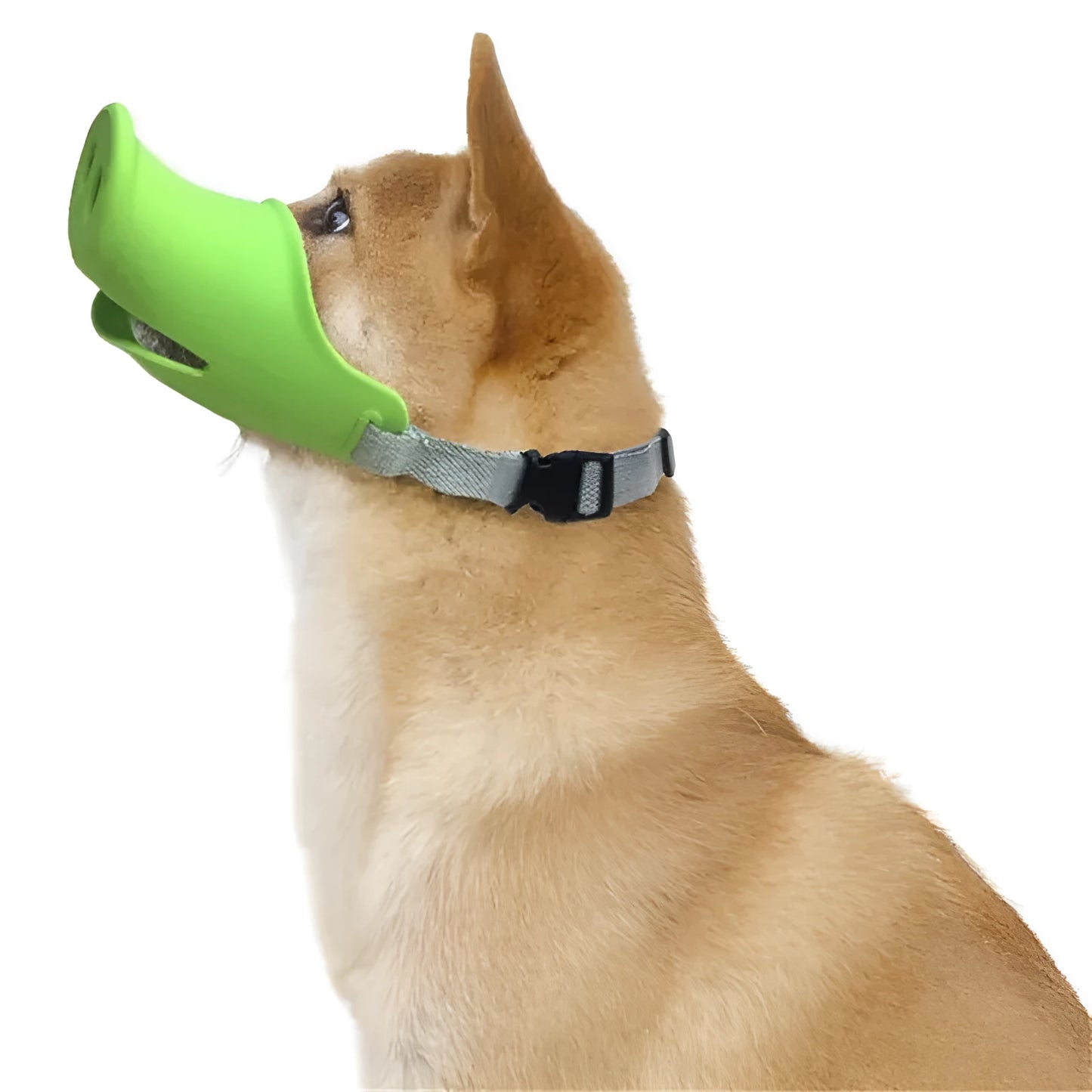 Green and blue silicone dog anti-bite mouth cover for long-snouted pets in two sizes