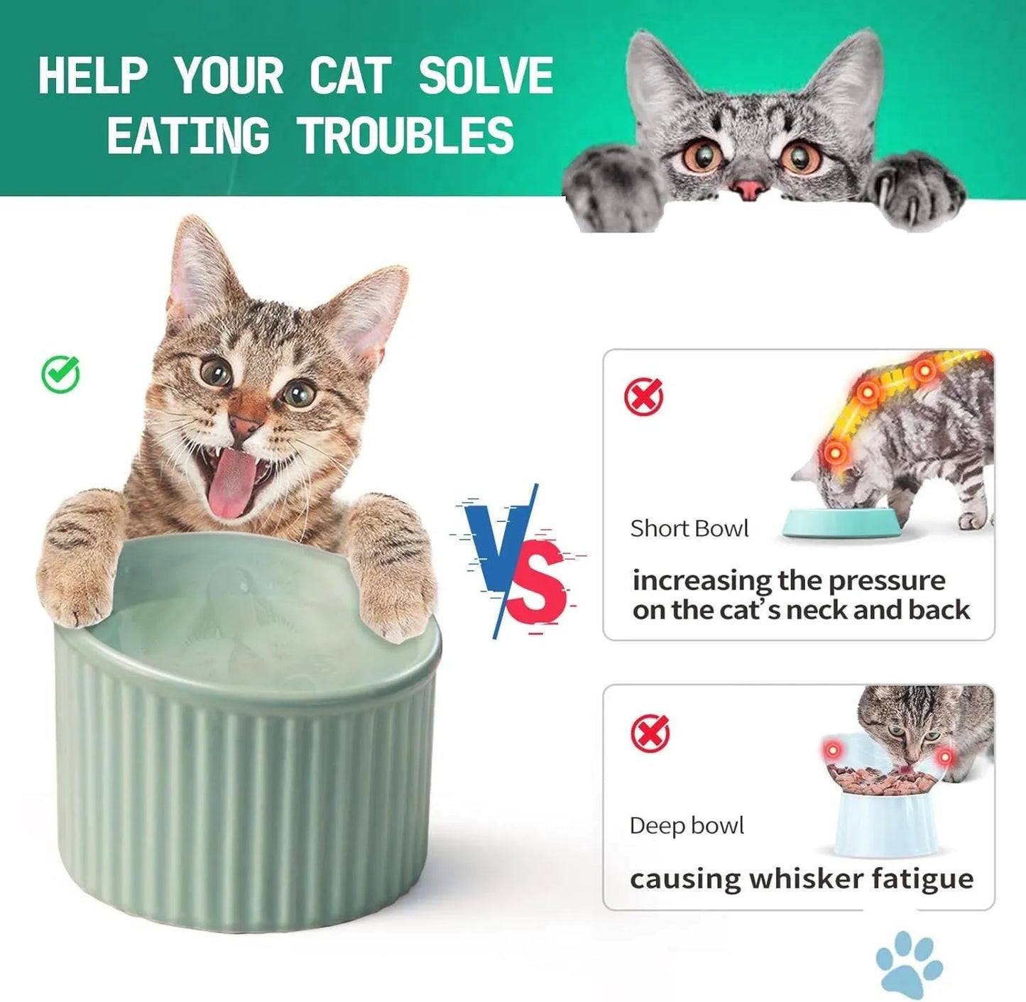 Ceramic elevated cat bowl in green colour showing tilted, round whisker-friendly design.