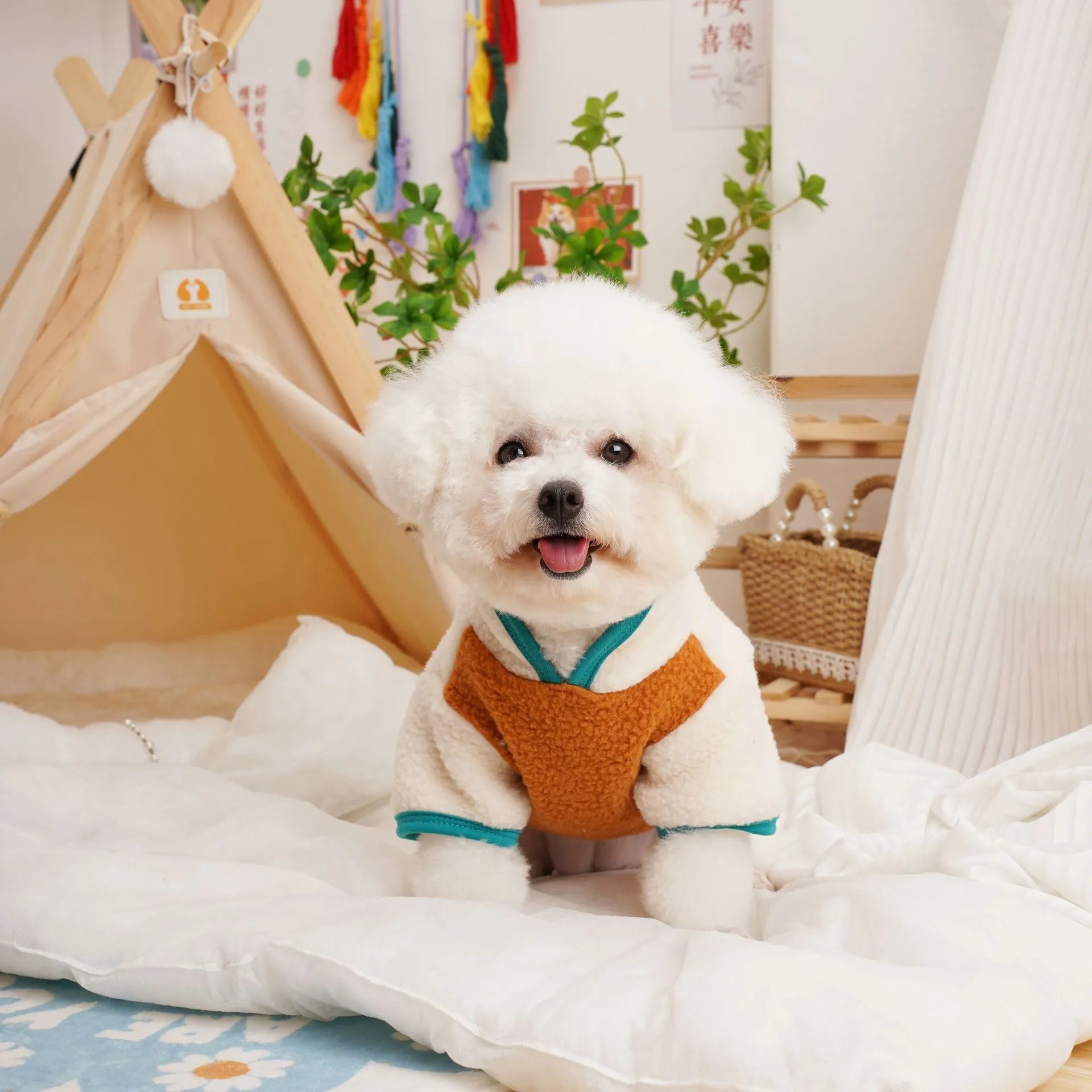 Lambswool pet sweatshirt in caramel colour with berber fleece thickened construction