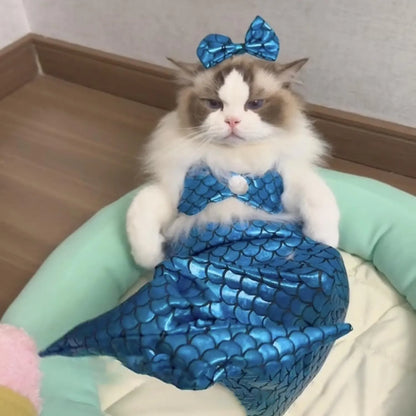 Blue pet mermaid costume with fish tail on a small cat, showing elastic chest strap and decorative bow.