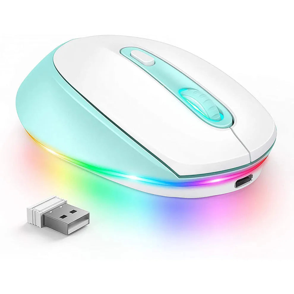 24g wireless ergonomic mouse with USB receiver and charging cable