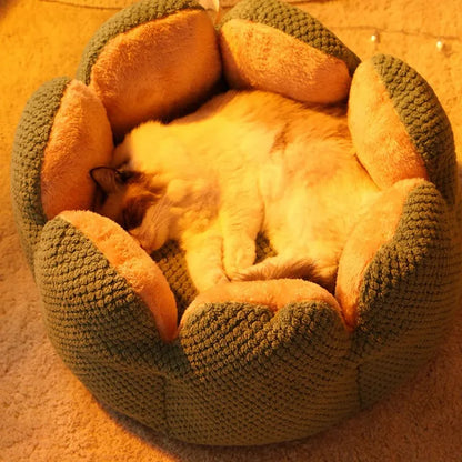 Green petal cactus-shaped plush cat bed with a cave-like opening on a wooden floor