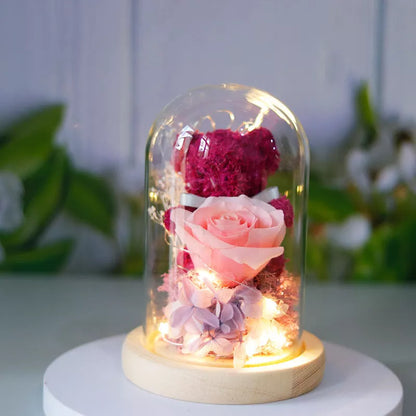 Eternal preserved rose and teddy bear gift box with warm LED lights