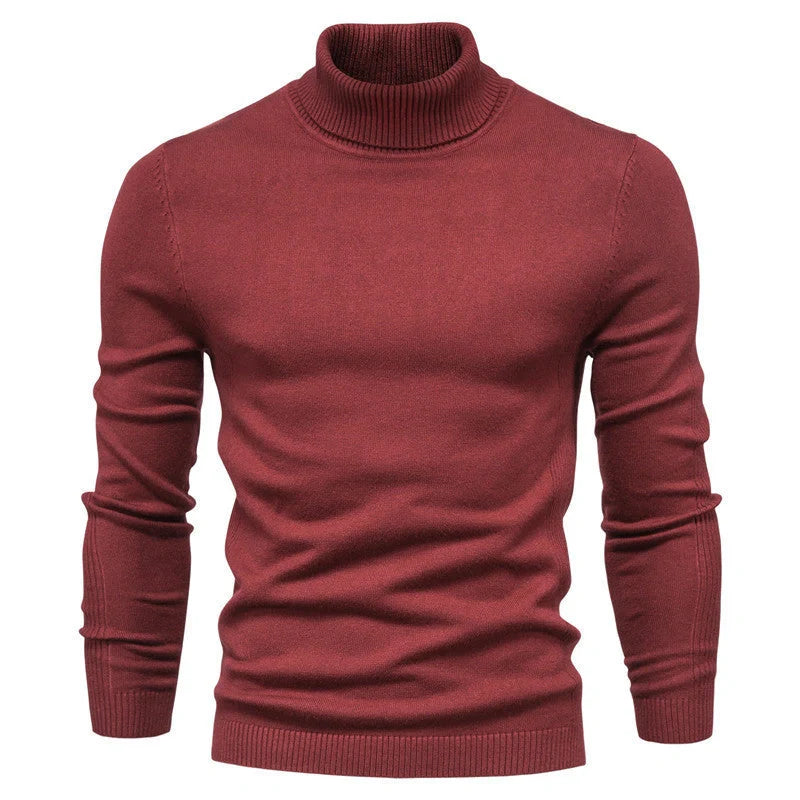 Men's slim fit turtleneck winter sweater in various colours
