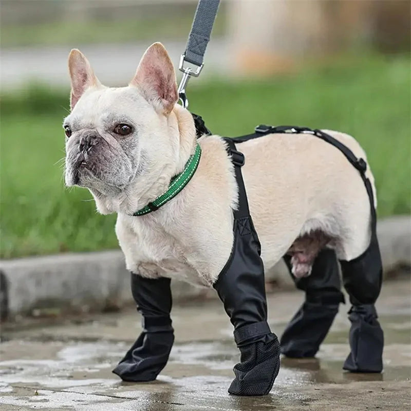 Adjustable waterproof dog boots with non-slip soles in black