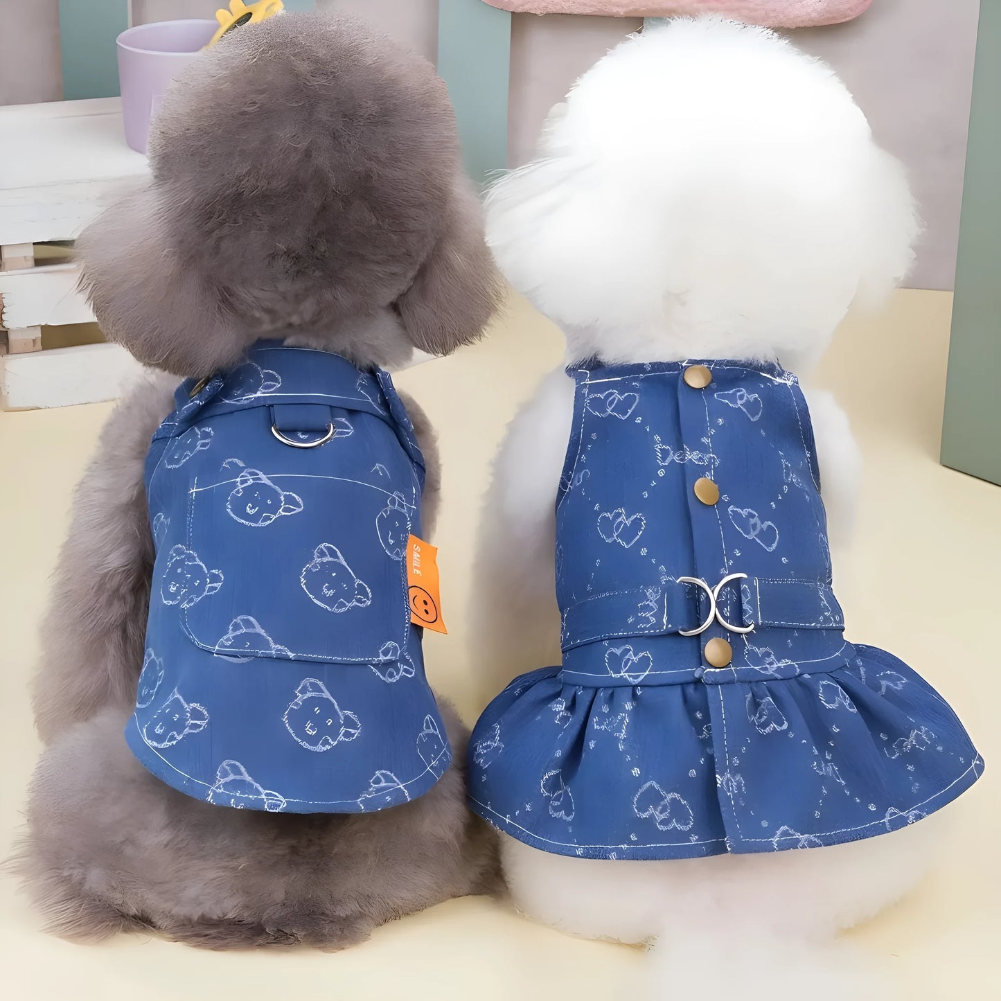 Teddy Bichon wearing denim princess dress in spring setting