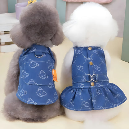 Teddy Bichon wearing denim princess dress in spring setting