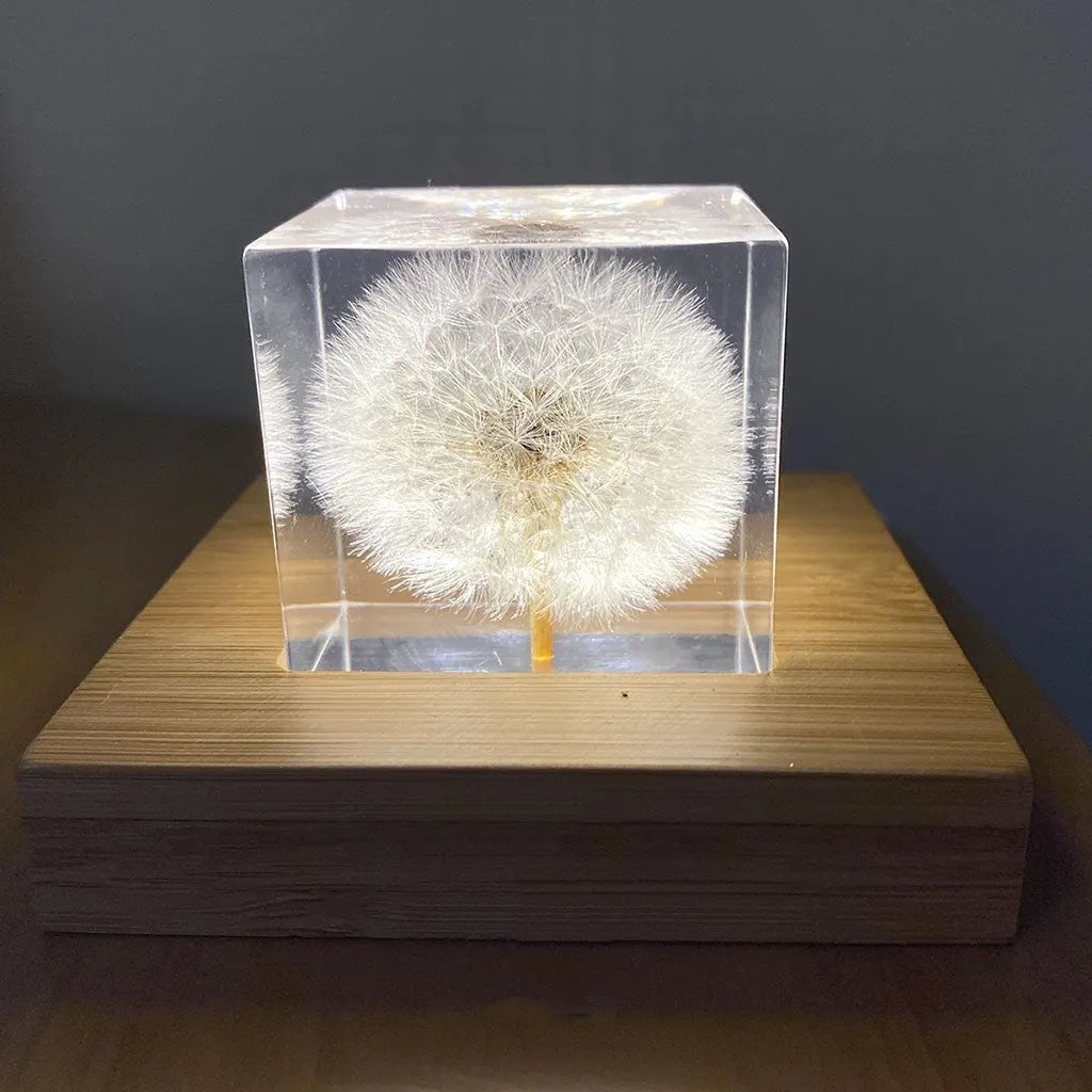 Square clear resin cube containing preserved dandelion flower with wooden box and USB base