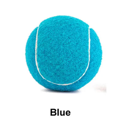 Rubber bite-resistant dog tennis ball in assorted bright colours, 6.3cm diameter.