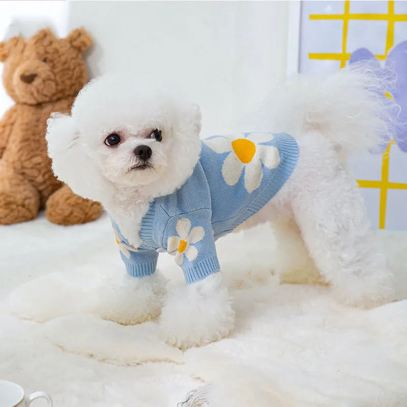 Blue and checkerboard patterned dog coats for small breeds on a white background.
