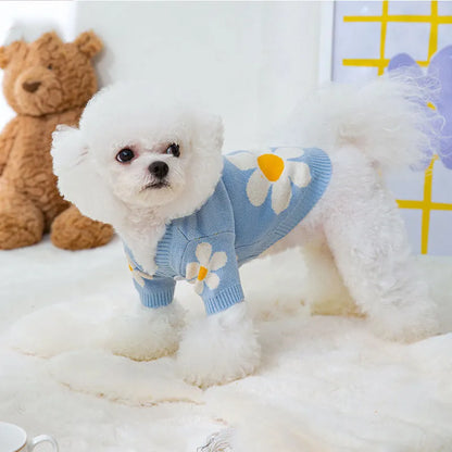 Blue and checkerboard patterned dog coats for small breeds on a white background.