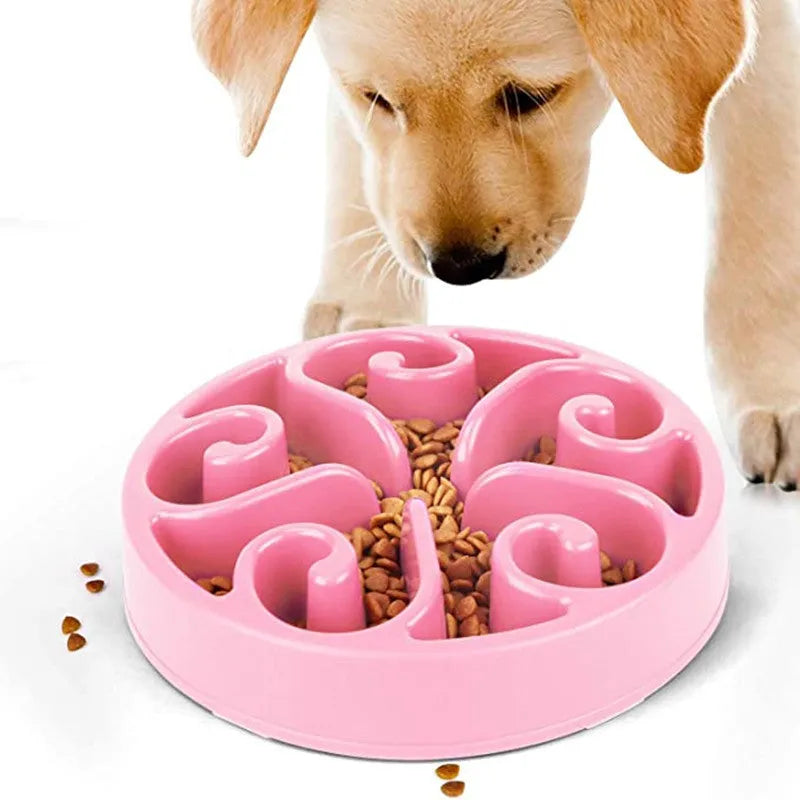 Coloured plastic dog slow feeder bowl showing internal maze pattern and ridges, with wide non-slip base