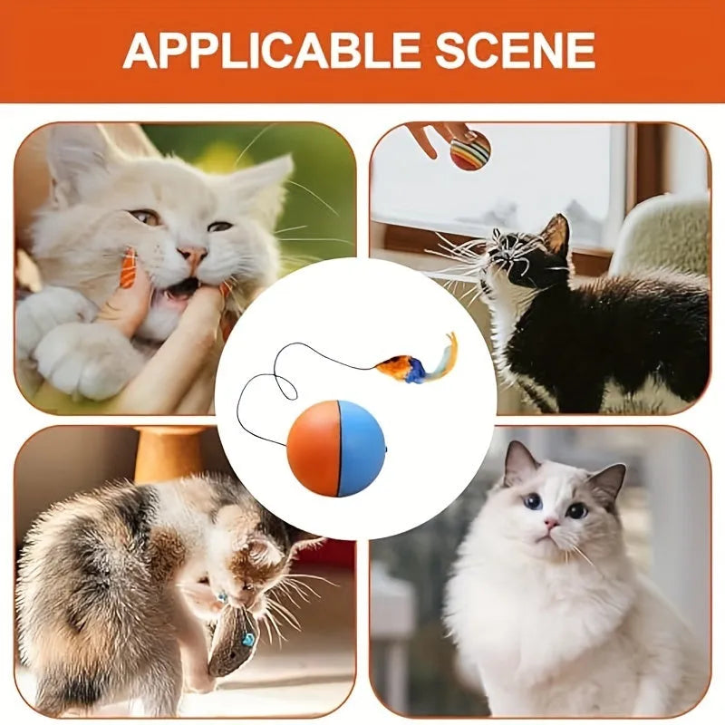Interactive cat toy with ball and plush mouse design in blue and orange colours