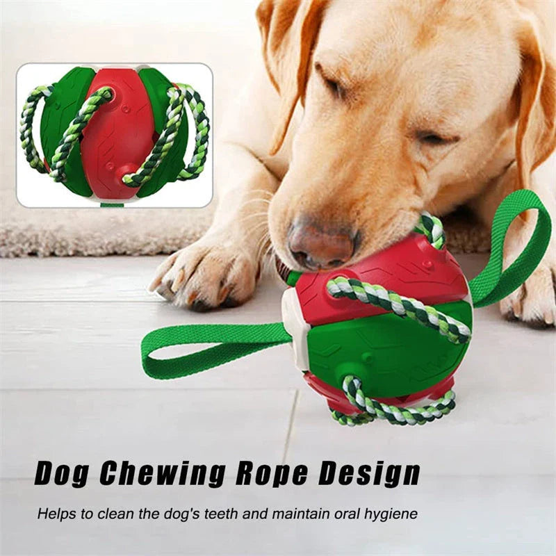 Versatile Frisbee-style dog toy with a unique shape-shifting design that transforms from a sphere to a flat Frisbee mid-flight, providing endless entertainment and exercise for your furry friend.