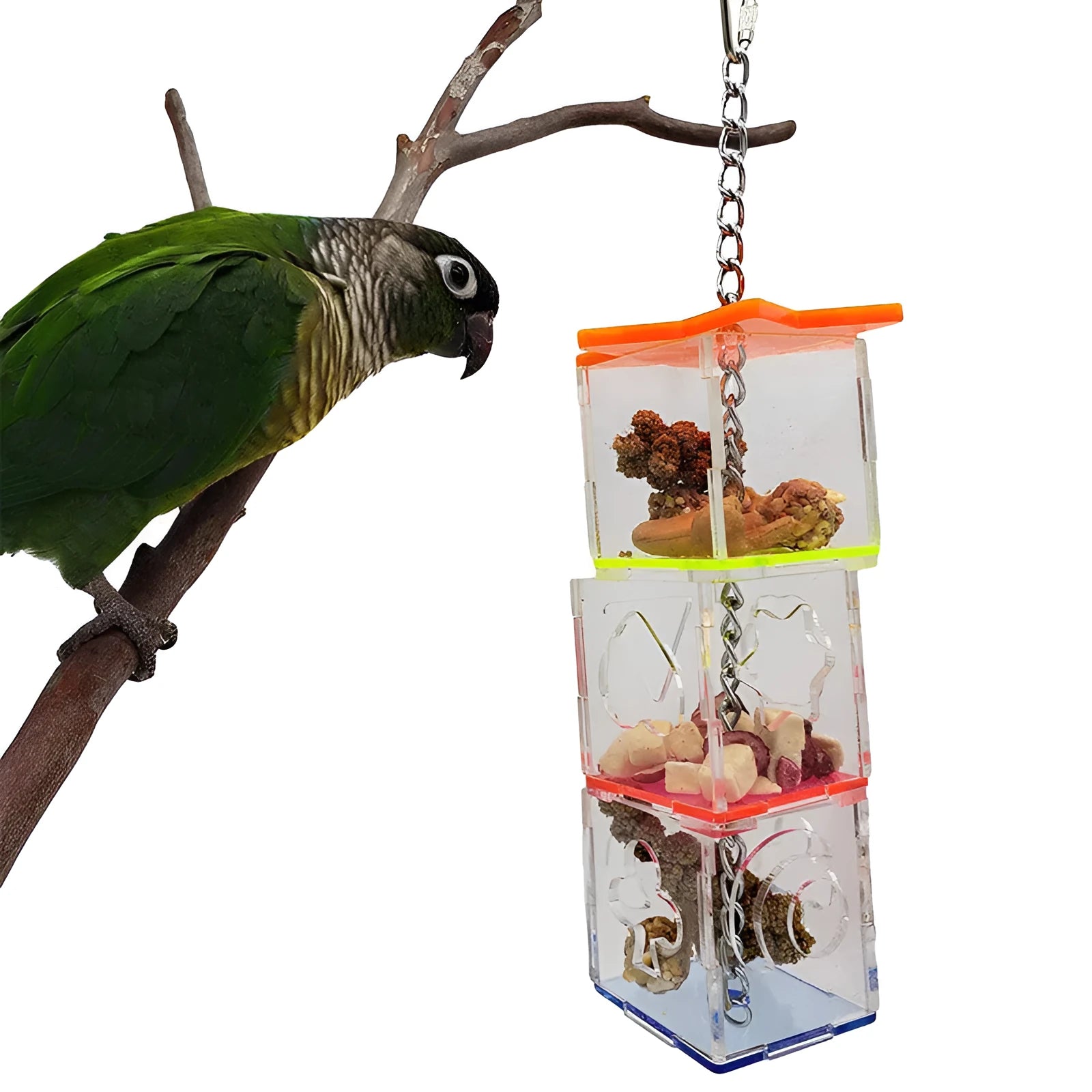 Transparent acrylic bird foraging toy with dimensions 5 cm by 5 cm by 32 cm.