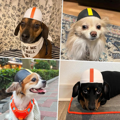 White and orange pet motorcycle safety helmet for small dog on a solid background.