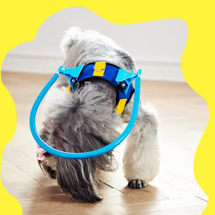 Blue adjustable dog anti-collision safety ring for blind pets in five sizes