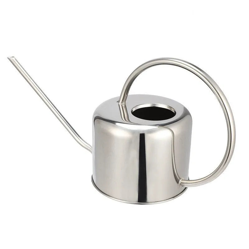 Stainless steel watering can with large 2 litre capacity and long spout for precise plant watering in home gardens, allotments, and green spaces, available in classic stainless steel, black, or gold finish.