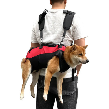 Black soft-sided Oxford cloth pet backpack for dogs and cats with colour accents, shown in backpack carry mode.
