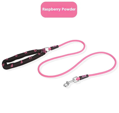 Polyester dog leash with hand holding rope in four colour options for small medium large dogs