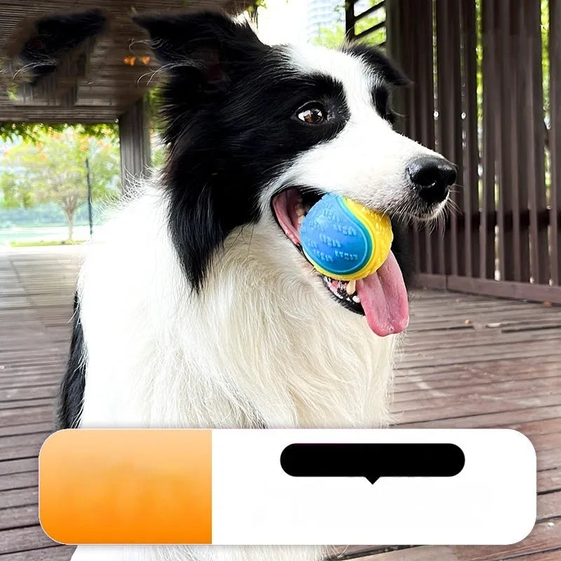 Pet training ball toy for dogs made from soft TPR material measuring 6.5cm for chewing and molar exercise, available in seven colour combinations including red-blue and blue-orange or a random luminous ball option