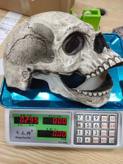 Lifelike 3D skull mask with movable jaw, perfect for Halloween costumes and cosplay events
