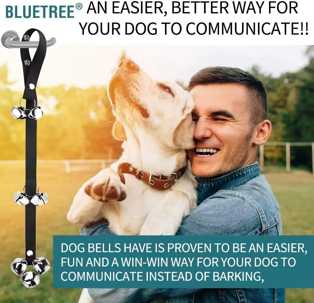 Adjustable-length dog training doorbell with large silver metal bells on a heavy-duty nylon leash