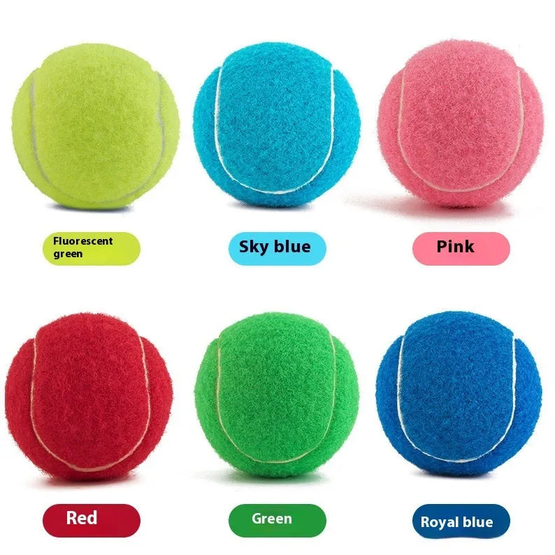 Rubber bite-resistant dog tennis ball in assorted bright colours, 6.3cm diameter.