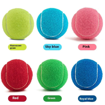 Rubber bite-resistant dog tennis ball in assorted bright colours, 6.3cm diameter.