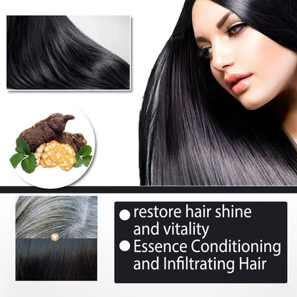 100ml boxed bottle of Polygonum Multiflorum shampoo for white to black hair colour restoration